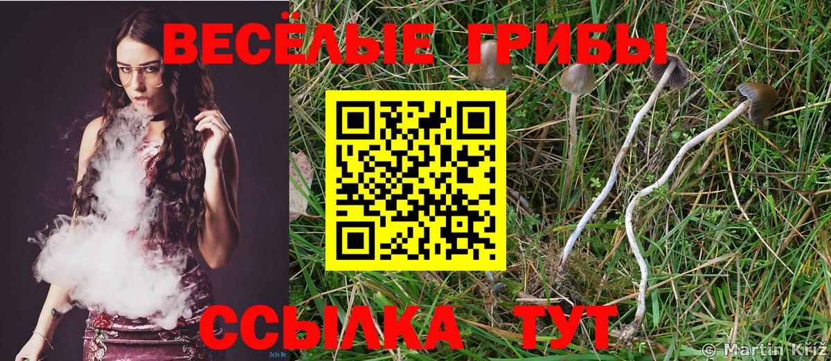 Псилоцибиновые грибы мицелий Керчь