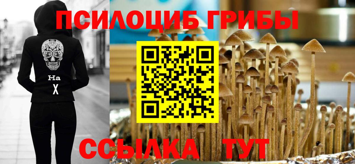 Галлюциногенные грибы MAGIC MUSHROOMS  Вход с VPN  Керчь 